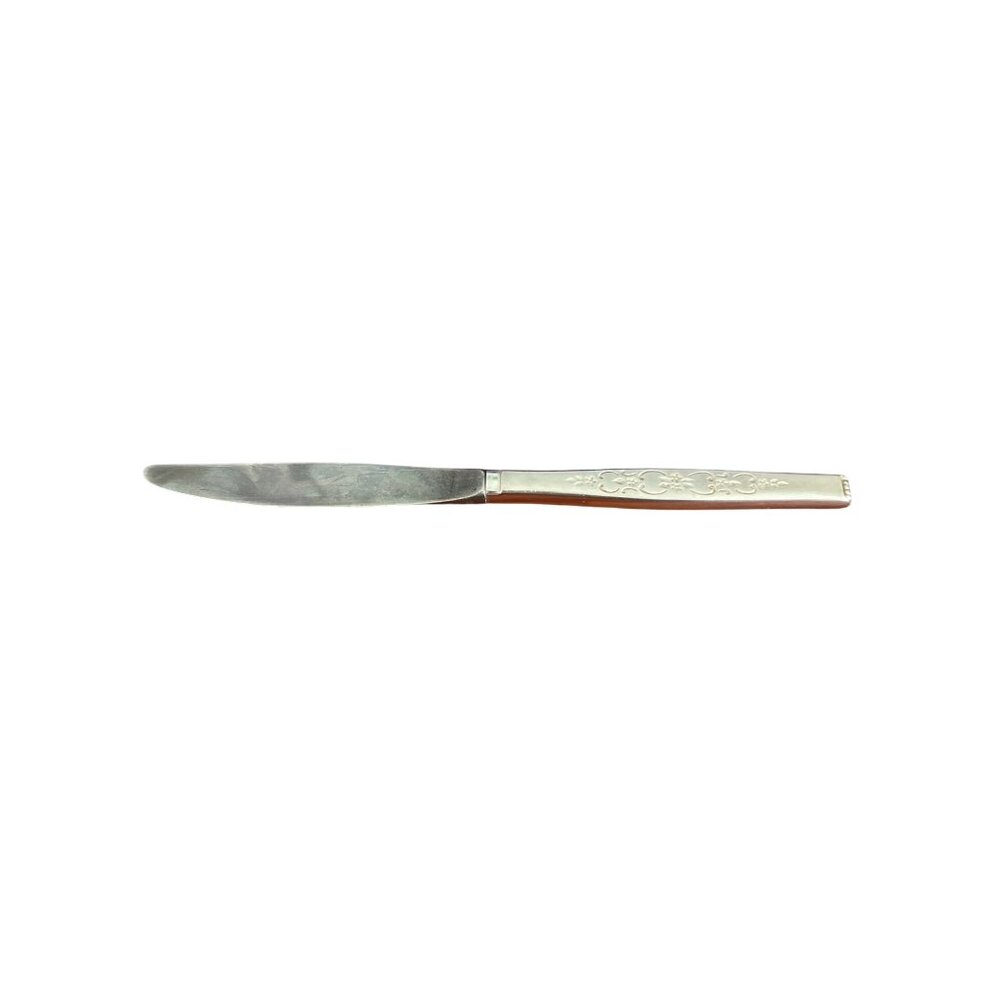 Vintage Oneida Premier Spanada Stainless Steel Dinner Knife Floral